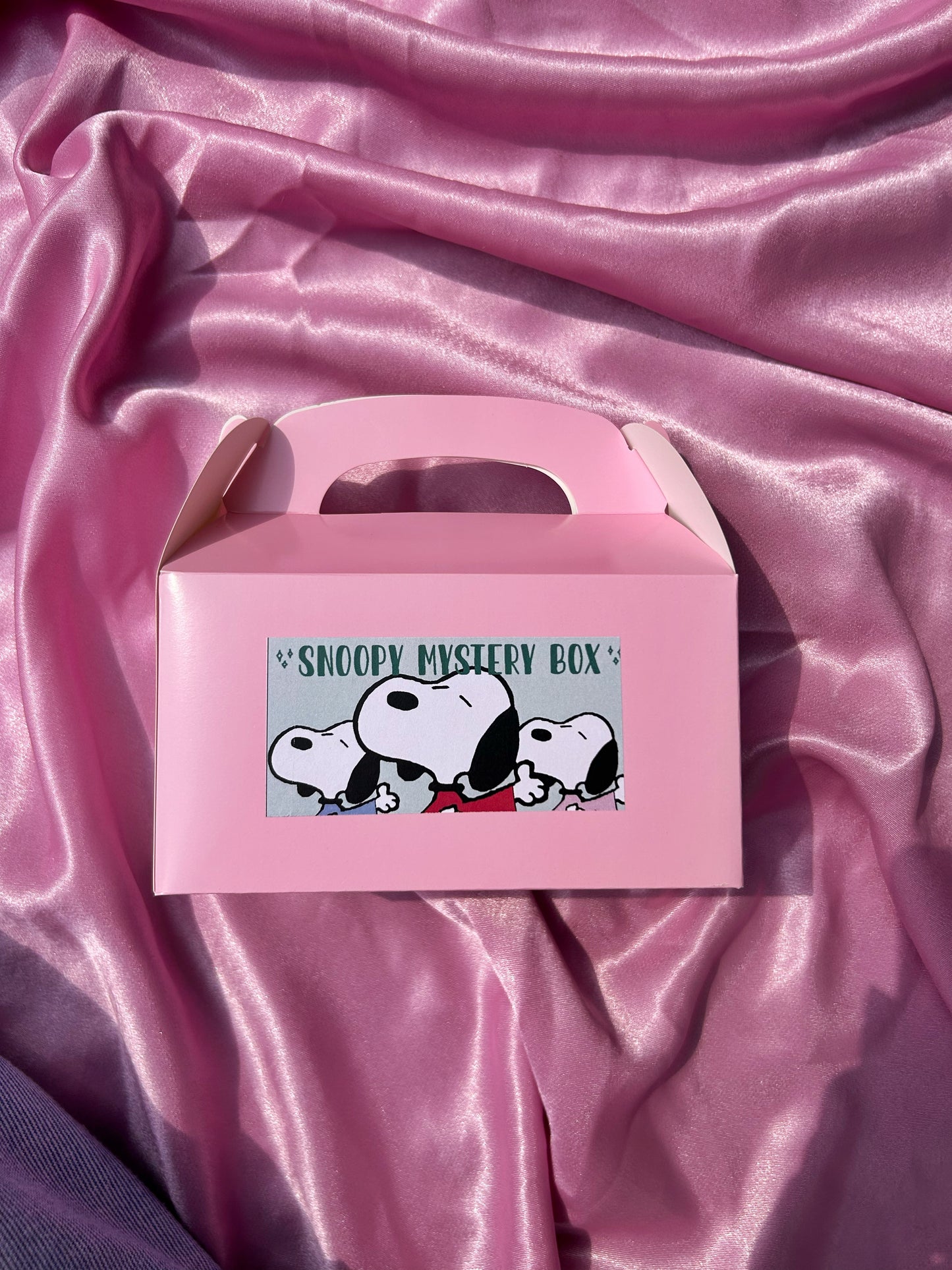 SNOOPY MYSTERY BOX