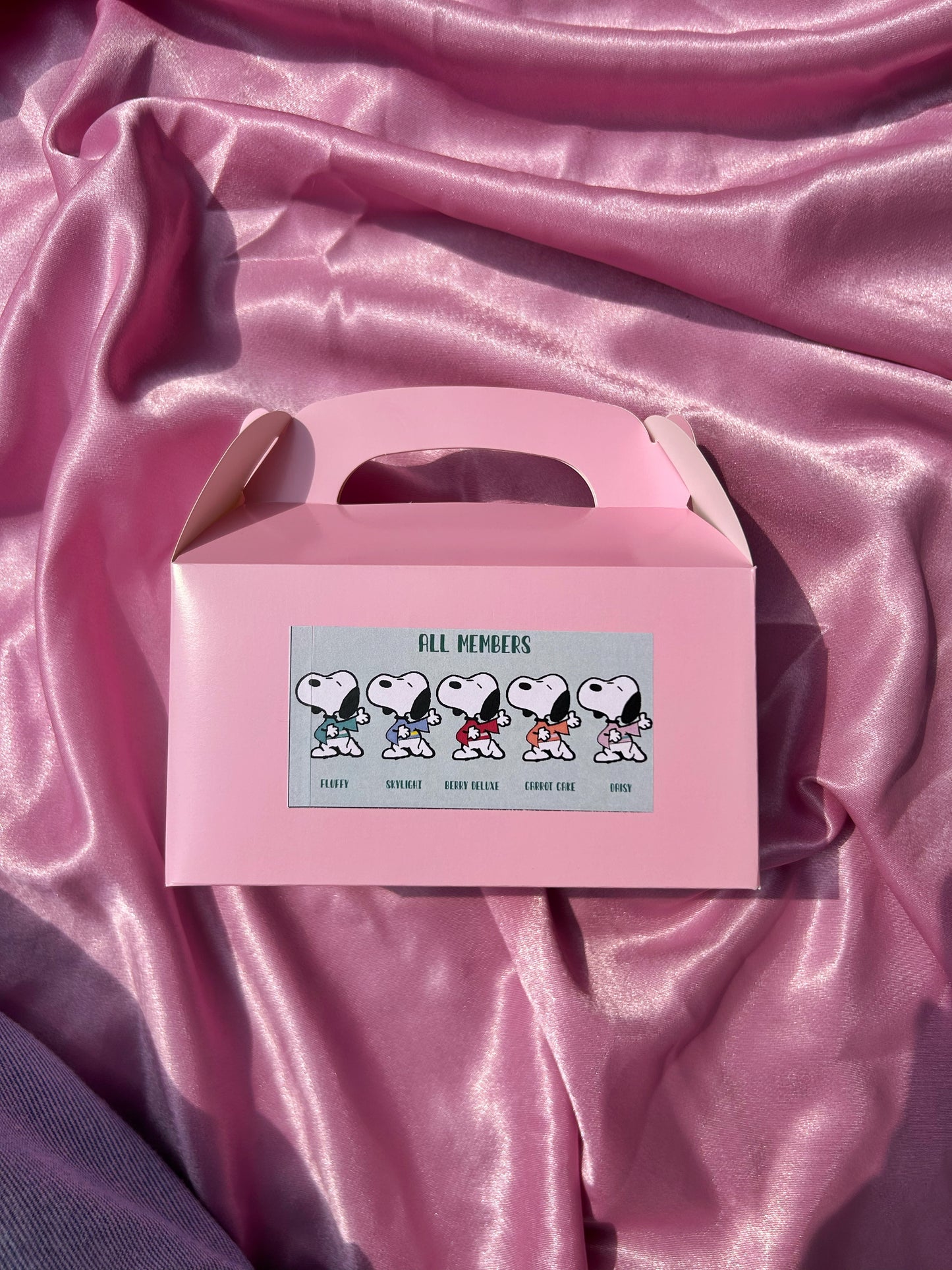 SNOOPY MYSTERY BOX